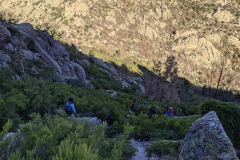 IMG_20201122_100319