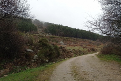 IMG_20220320_113439