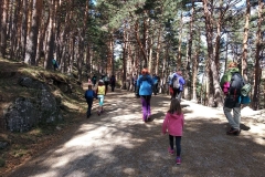 IMG_20190324_115347