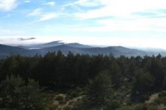 IMG-20200202-WA0027