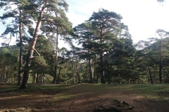 IMG-20200202-WA0038