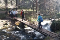 IMG-20200202-WA0049