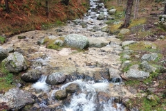 IMG_20200202_104405