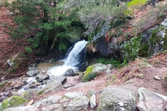 IMG_20200202_105253