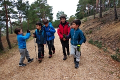 IMG_20191215_121124