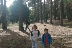 IMG-20191012-WA0040