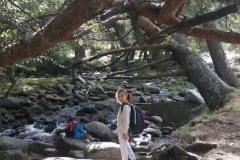 IMG-20191012-WA0042