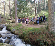 Valle de la Fuenfría