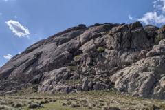 IMG_20220507_173350_1