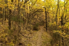 IMG_20201025_084906_1