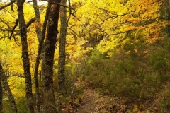 IMG_20201025_090434_1