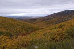 IMG_20201025_092817_1