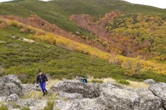 IMG_20201025_093839_1