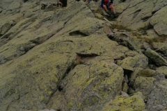 IMG-20210705-WA0104