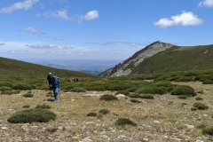 IMG_20210703_124921