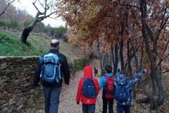 IMG_20201114_094226