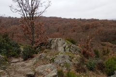 IMG_20201114_094626