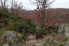 IMG_20201114_094631