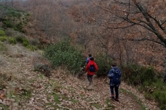 IMG_20201114_094951