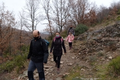 IMG_20201114_095017