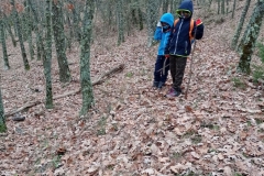 IMG_20201114_100650