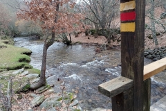 IMG_20201114_102215