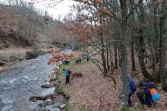 IMG_20201114_102226