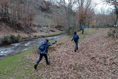 IMG_20201114_102603