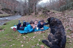 IMG_20201114_104039