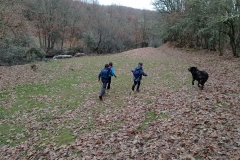 IMG_20201114_105524