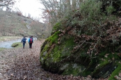 IMG_20201114_110010