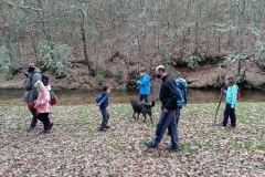 IMG_20201114_110800