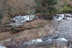 IMG_20201114_112804