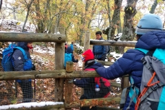IMG_20191117_095053