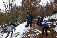 IMG_20191117_103006