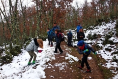 IMG_20191117_103009