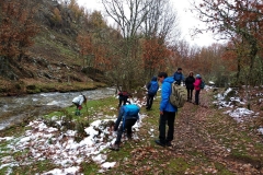 IMG_20191117_113133