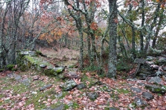 IMG_20191117_114434