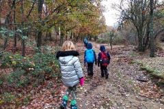 IMG_20191117_115303