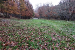 IMG_20191117_115859