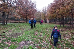 IMG_20191117_115906_1