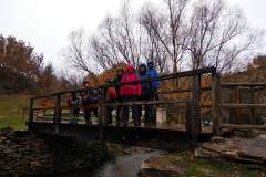 IMG_20191117_121826