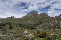 IMG-20210509-WA0025