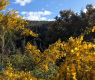 La Maliciosa por los Chorros del Manzanares