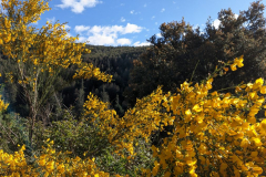 IMG_20240518_092029-2