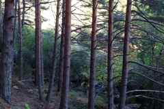 IMG_20191026_102055_1