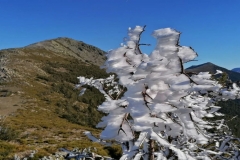 IMG-20200111-WA0004
