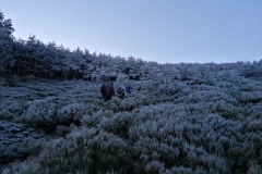 IMG-20200111-WA0041