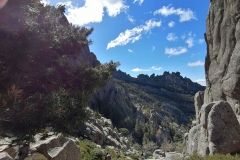 IMG-20190519-WA0015