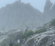 Las Torres de La Pedriza<br /> desde la Hoya de San Blas